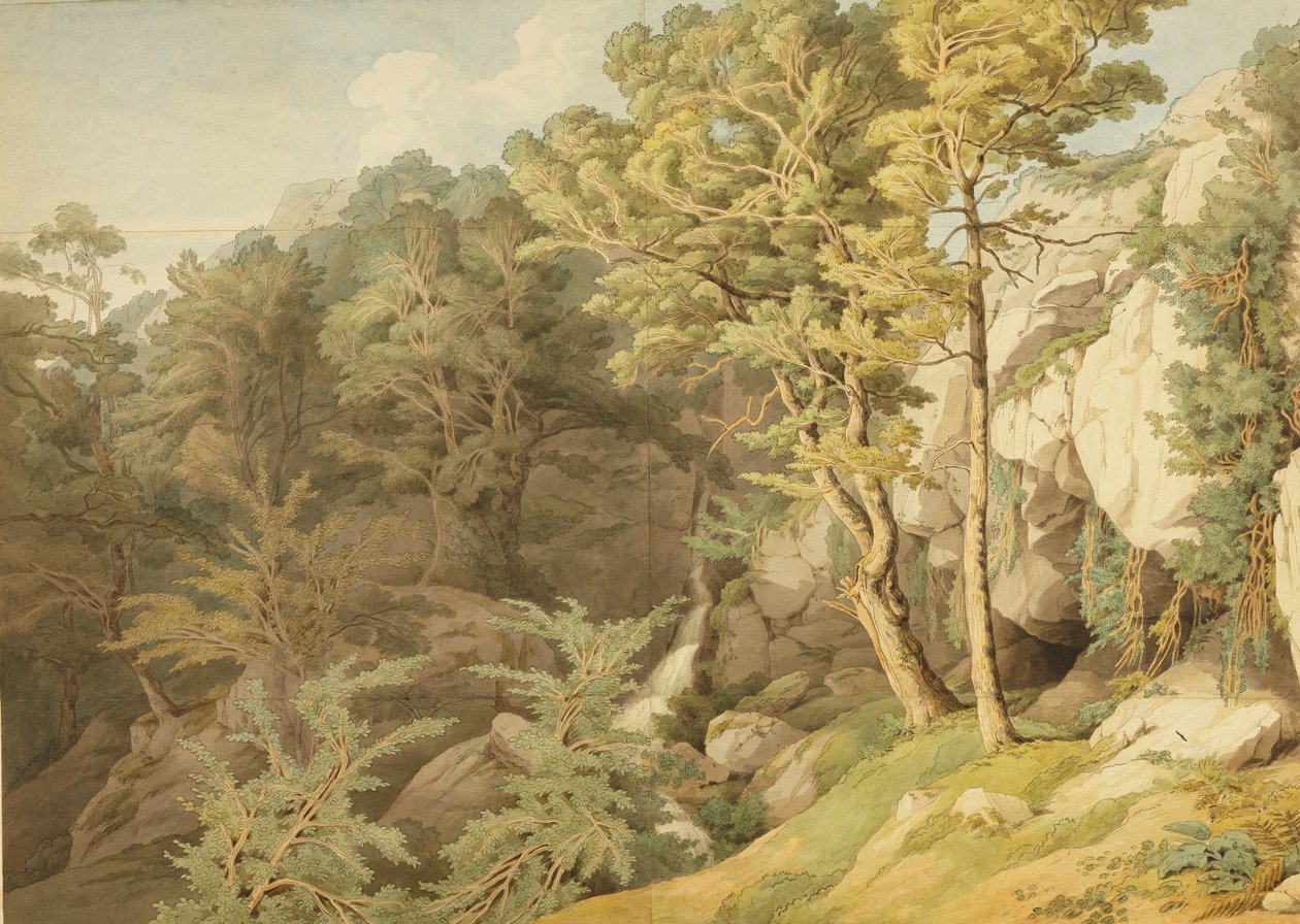 Canonteign, Devon, 1804 (kağıt üzerinde kalem ve mürekkep ve wc) by John White Abbott