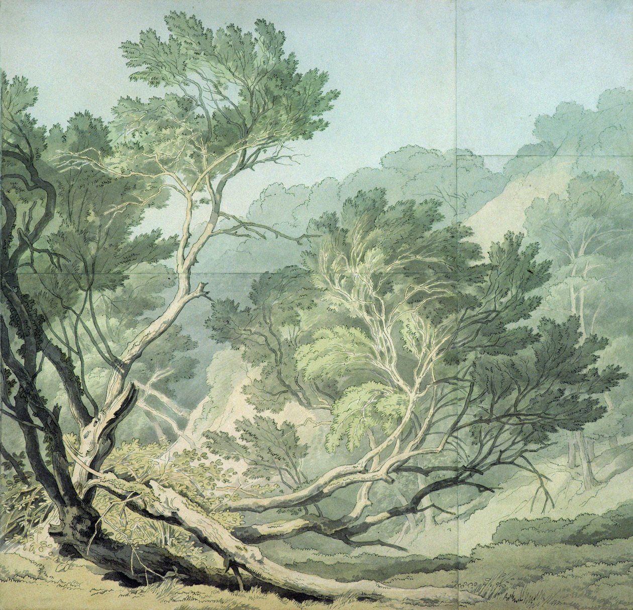 Fordlands, Exeter yakın görünümü by John White Abbott