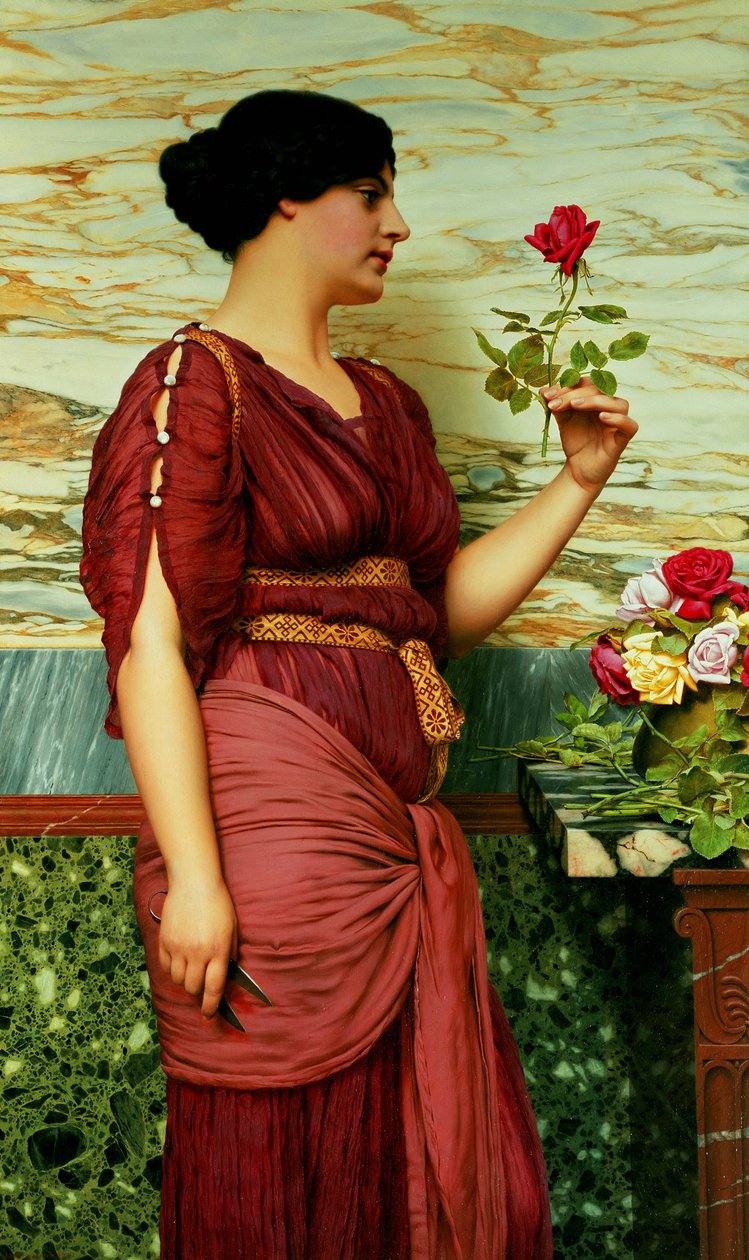 Kırmızı, kırmızı bir gül by John William Godward