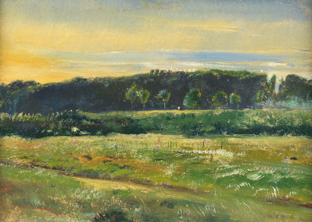 The Common, Haziran 1871 (kart üzerinde yağlı boya) by John William Inchbold
