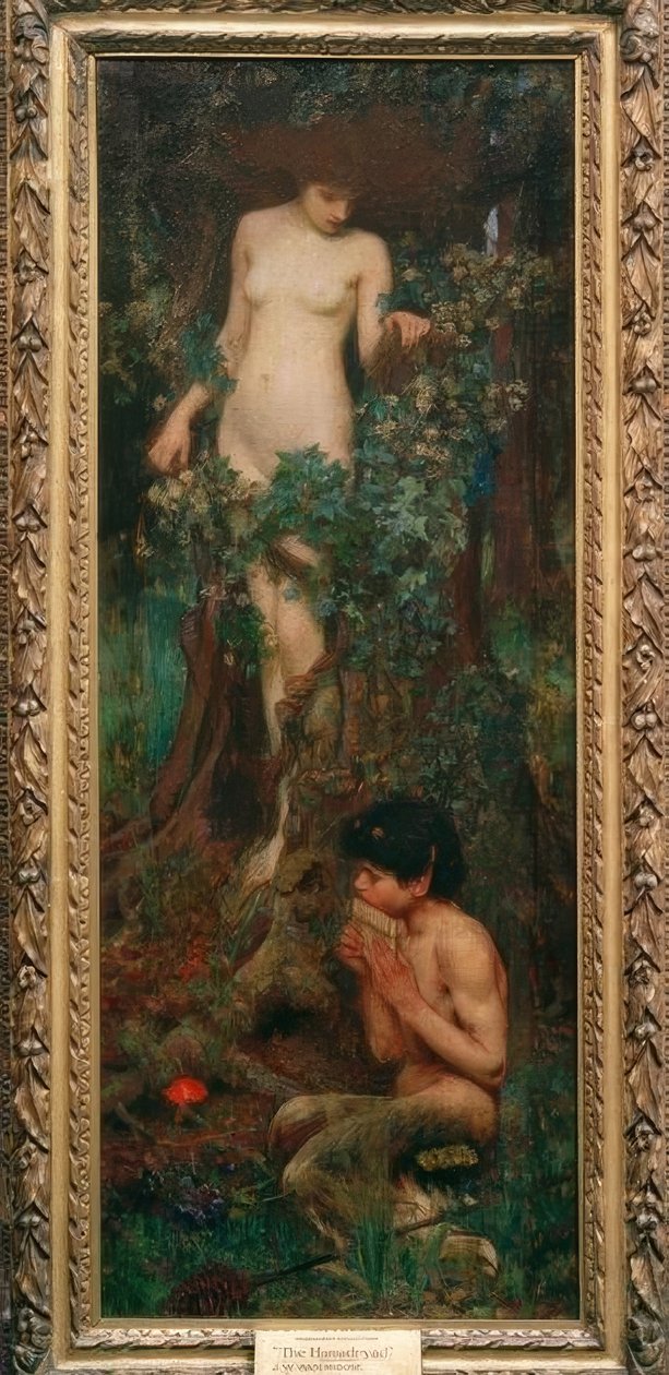 Bir Hamadryad by John William Waterhouse