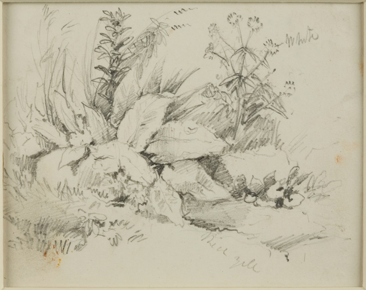 Doğa çalışması by John Wilson Carmichael