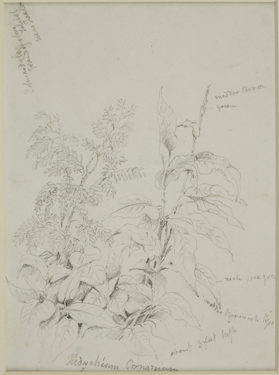 Doğa çalışması by John Wilson Carmichael
