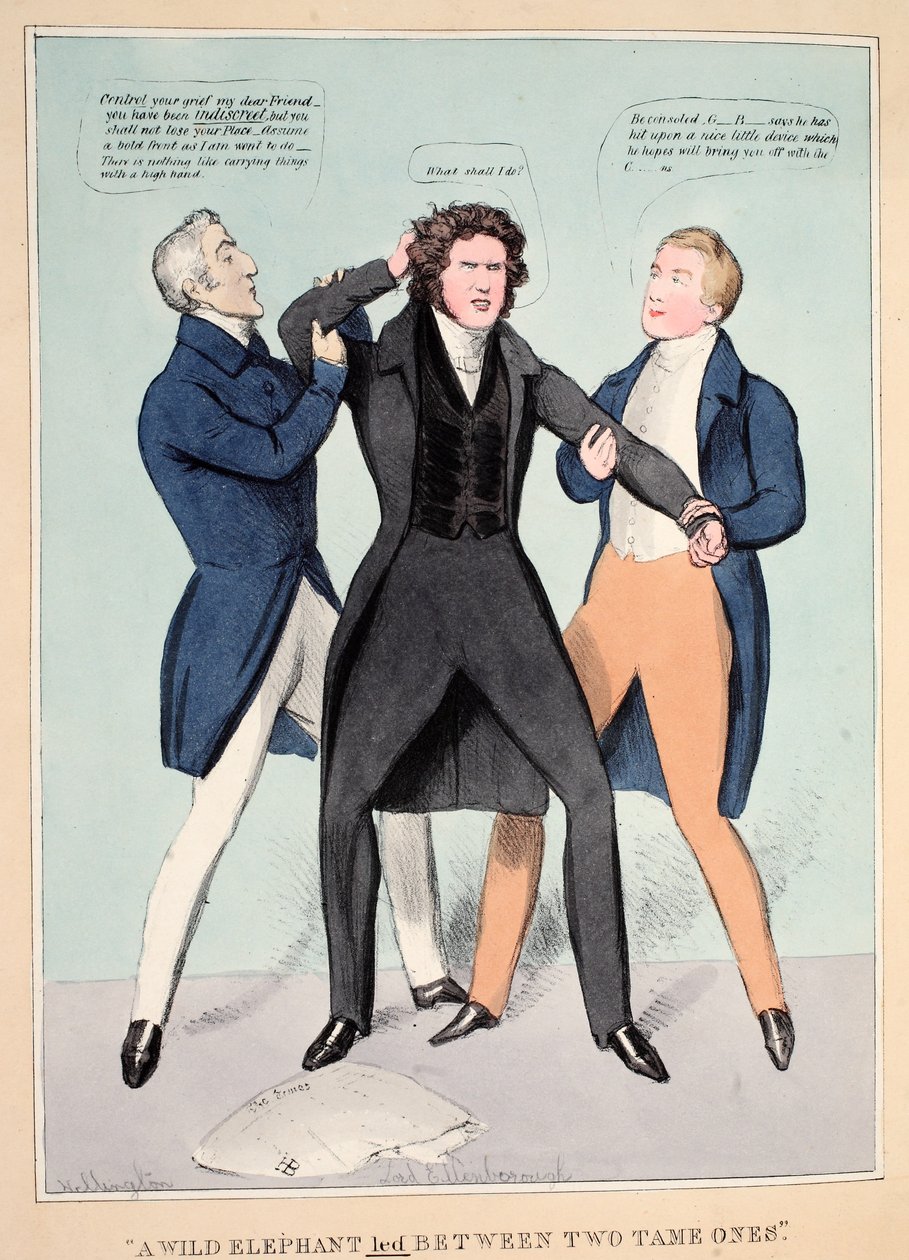 "İki Evcil Olan Arasında Bir Vahşi Fil", pub. 1830 (el renkli gravür) by John  Doyle