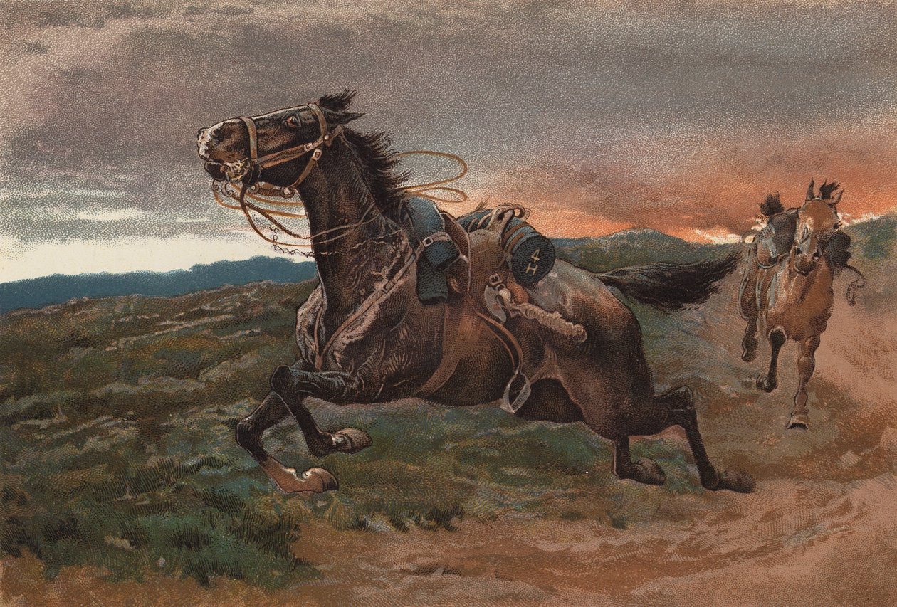  by John (after) Charlton