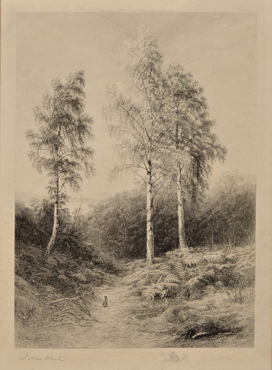 Üç Güzeller by John (after) MacWhirter
