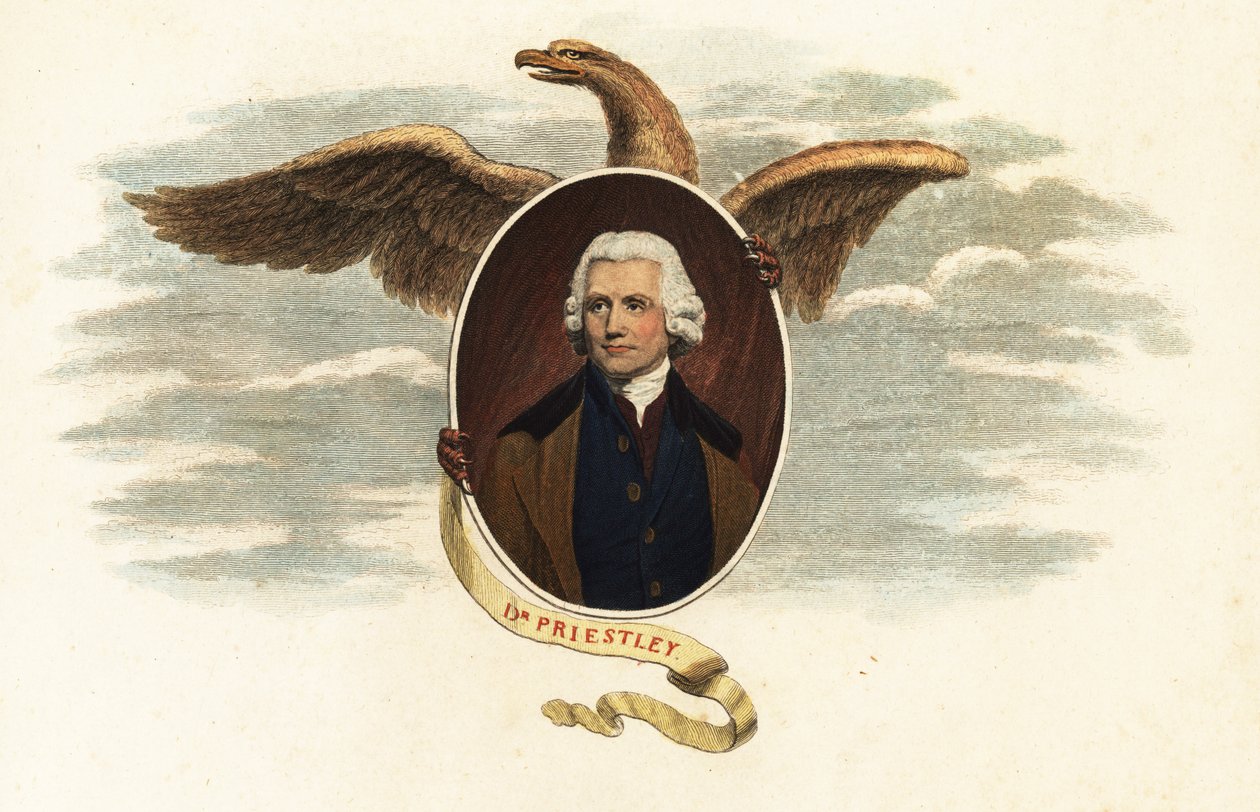 Dr Joseph Priestley, ilahiyatçı ve bilim adamı by John (after) Opie