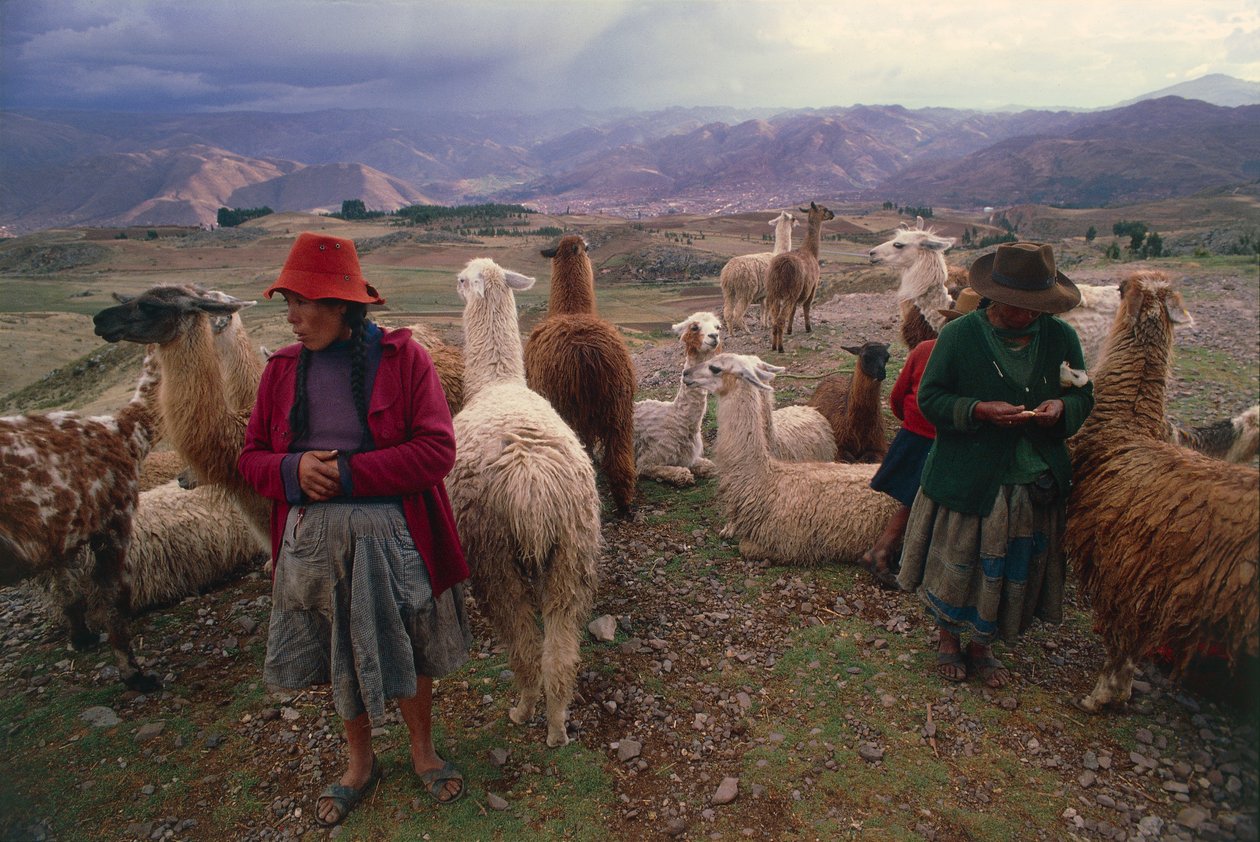 Perulu kadınlar ve lama sürüsü (fotoğraf) by Walter Charles Mills