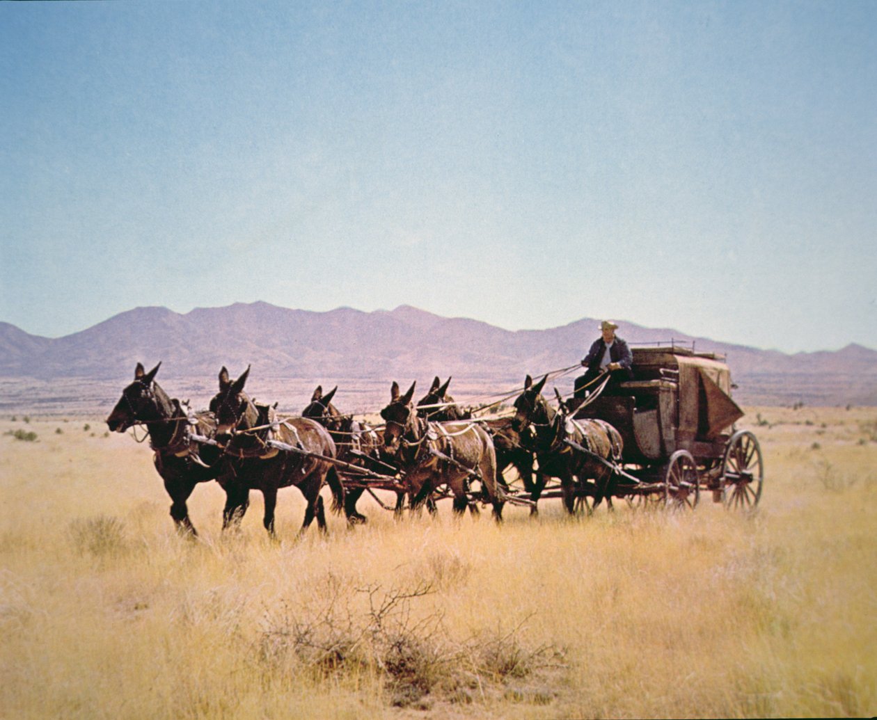 Altı katırlı bir ekip tarafından çekilen Batı Posta Arabası (fotoğraf) by Walter Charles Mills