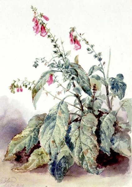 yüksük eldiveni by John Adam P. Houston