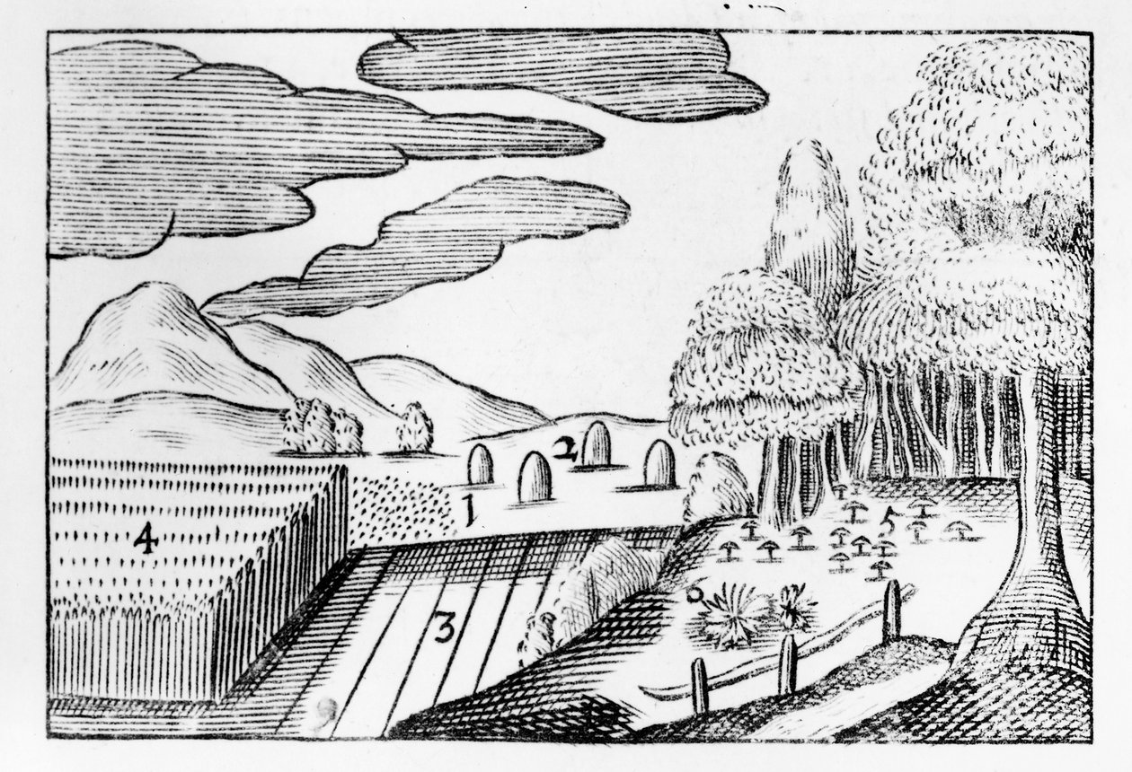 Dünyanın Meyveleri, 1658 by John Amos Comenius