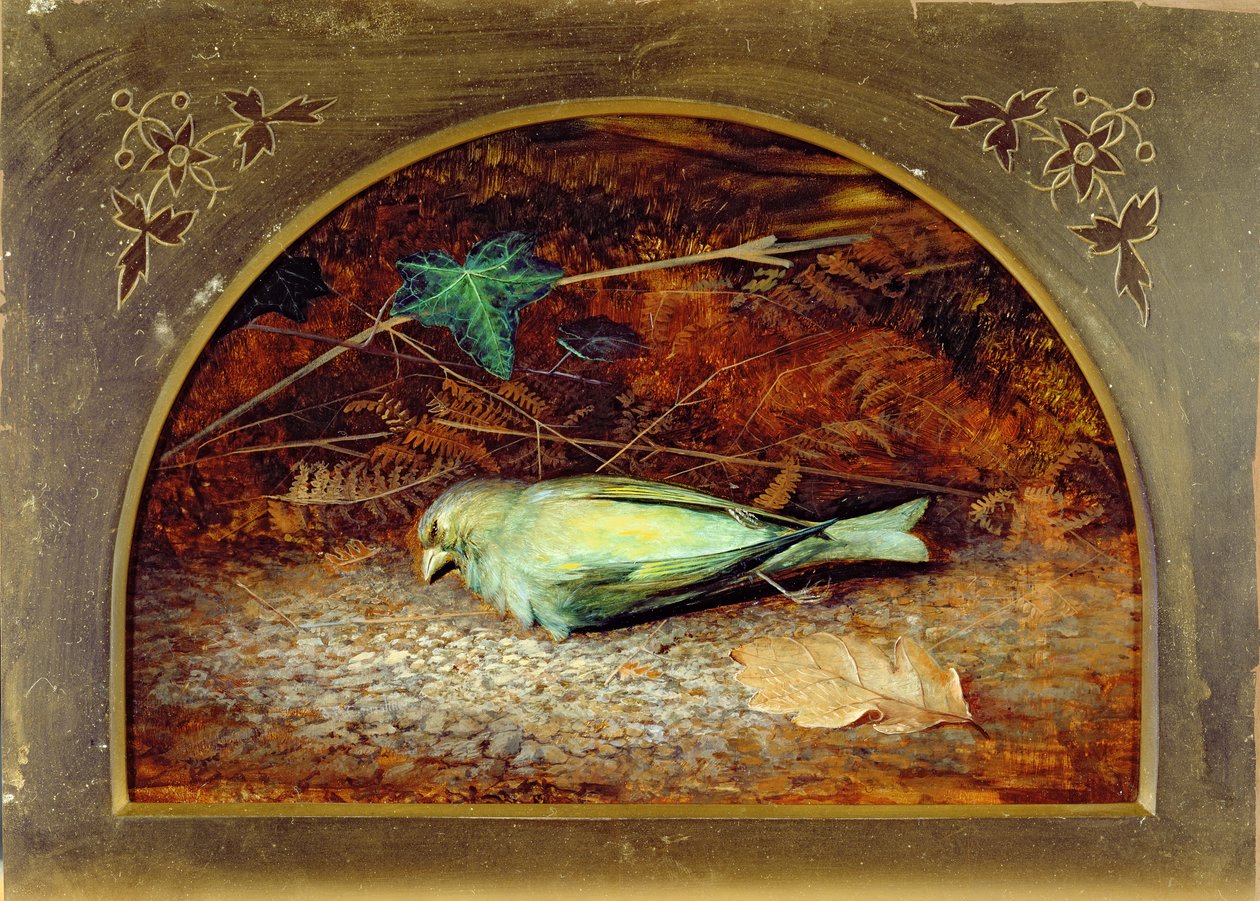 Ölü Linnet by John Atkinson Grimshaw