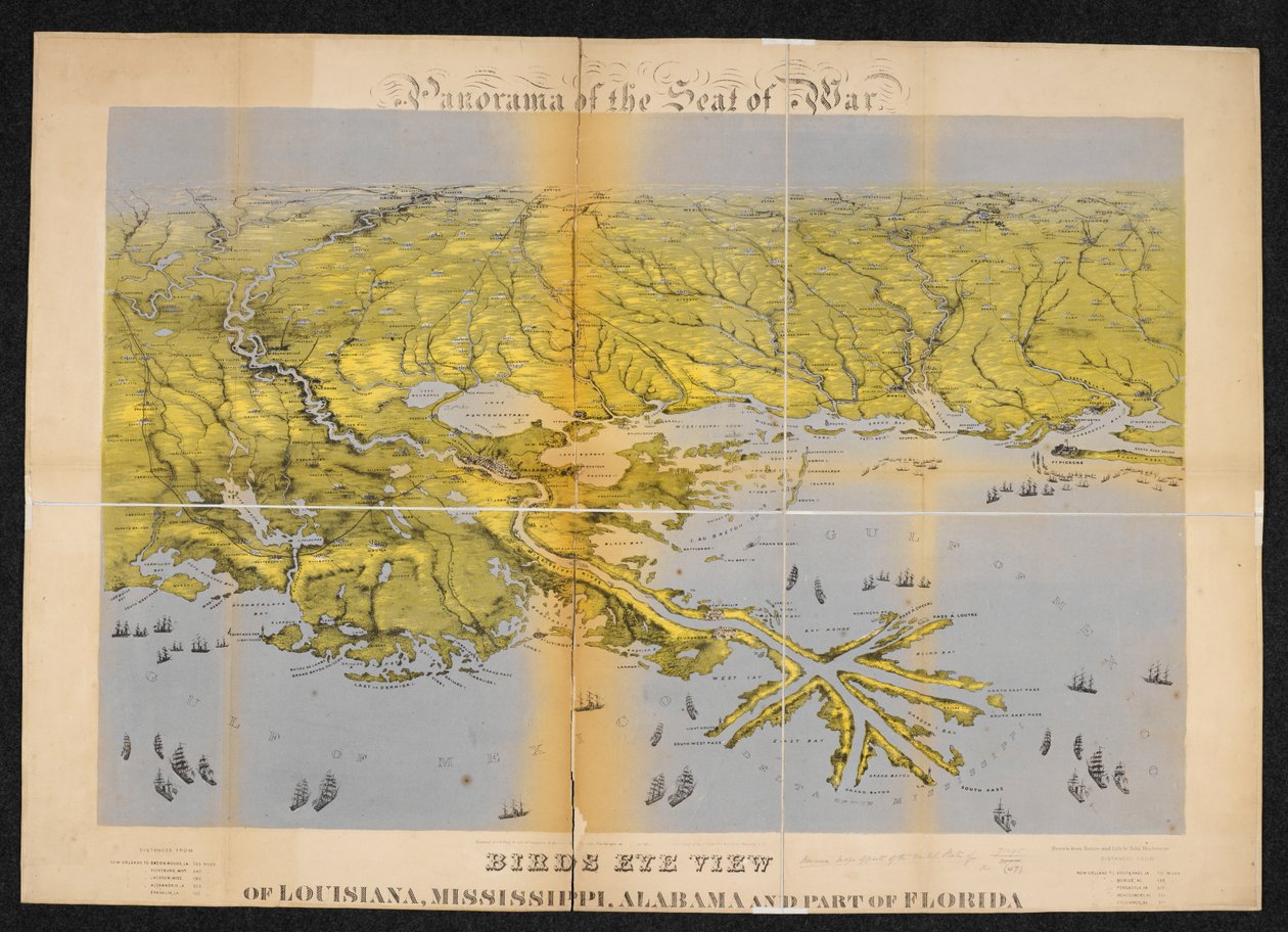 Louisiana, Mississippi, Alabama ve Florida