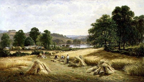 Bishopsteignton, Plymouth yakınlarında Altın Tahıl Toplama by John Barrett