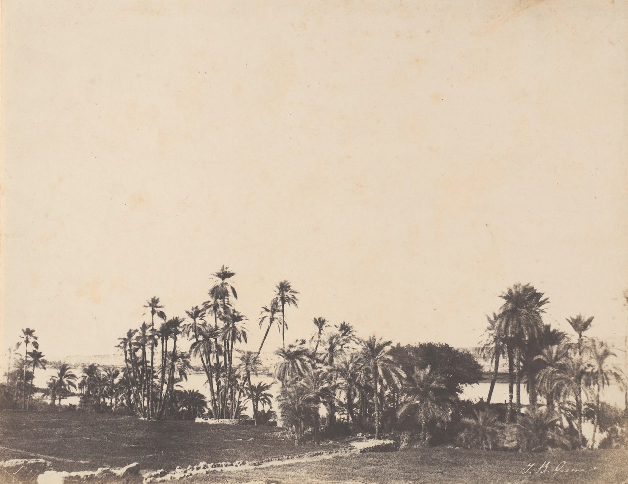 Palmiye Ağaçları Çalışması, Nil Bankaları, Kalabschi, 1853-54. by John Beasley Greene