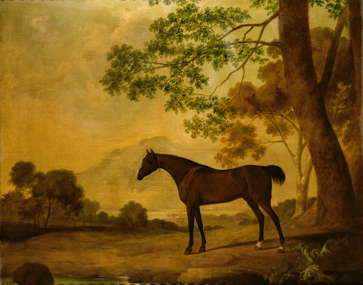 Bilinmeyen resim by John Best
