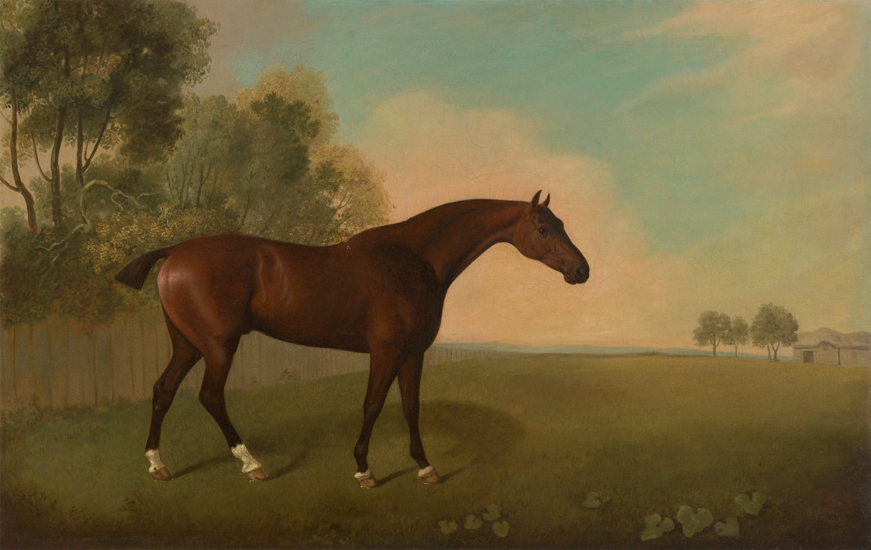 Bir Alanda Bir Defne Atı by John Boultbee