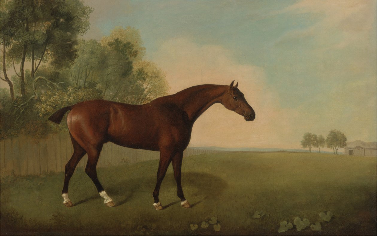 Tarlada Bir Defne Atı, 1778 by John Boultbee