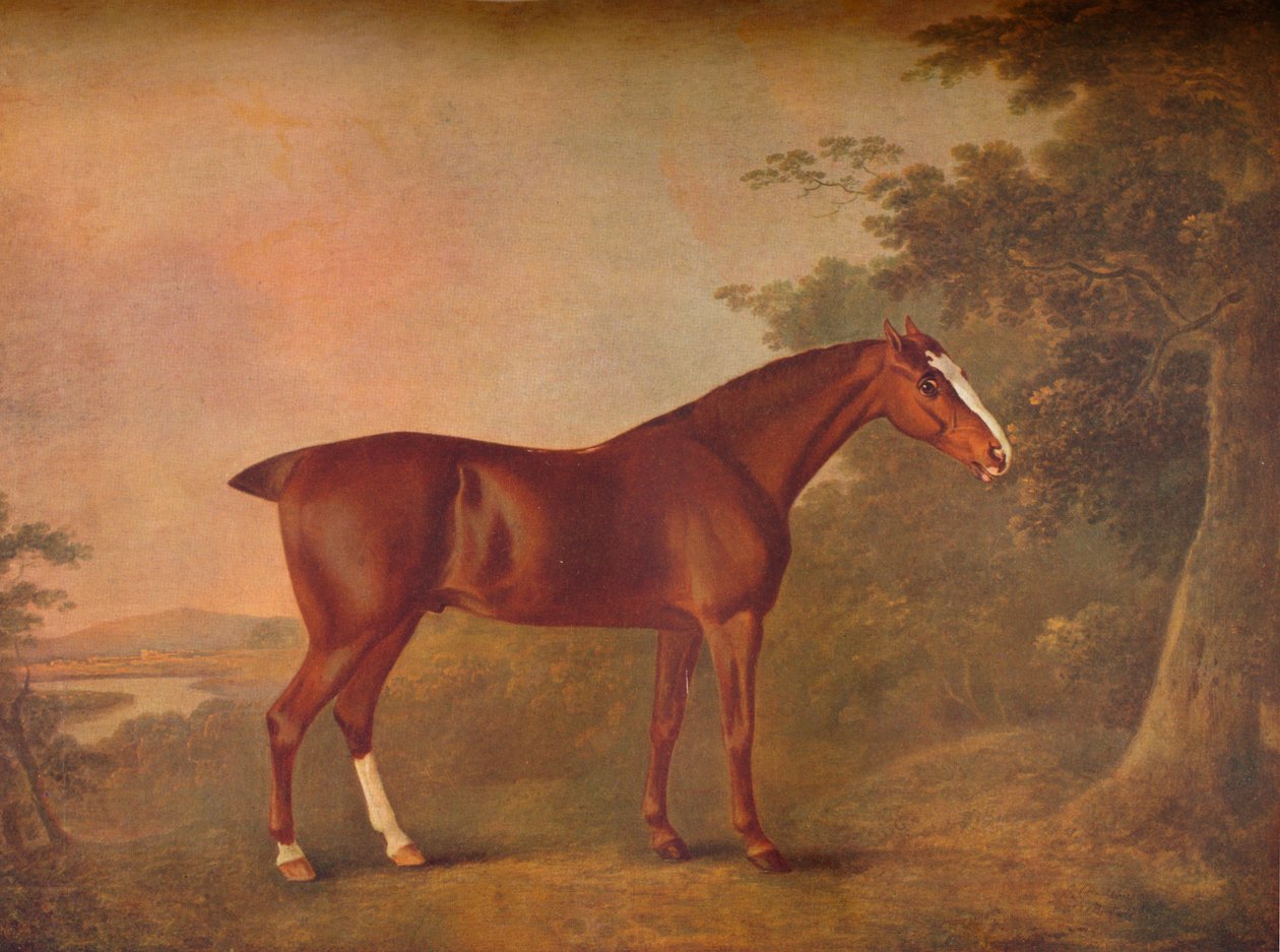 'Kara Kestane', 1788 by John Boultbee