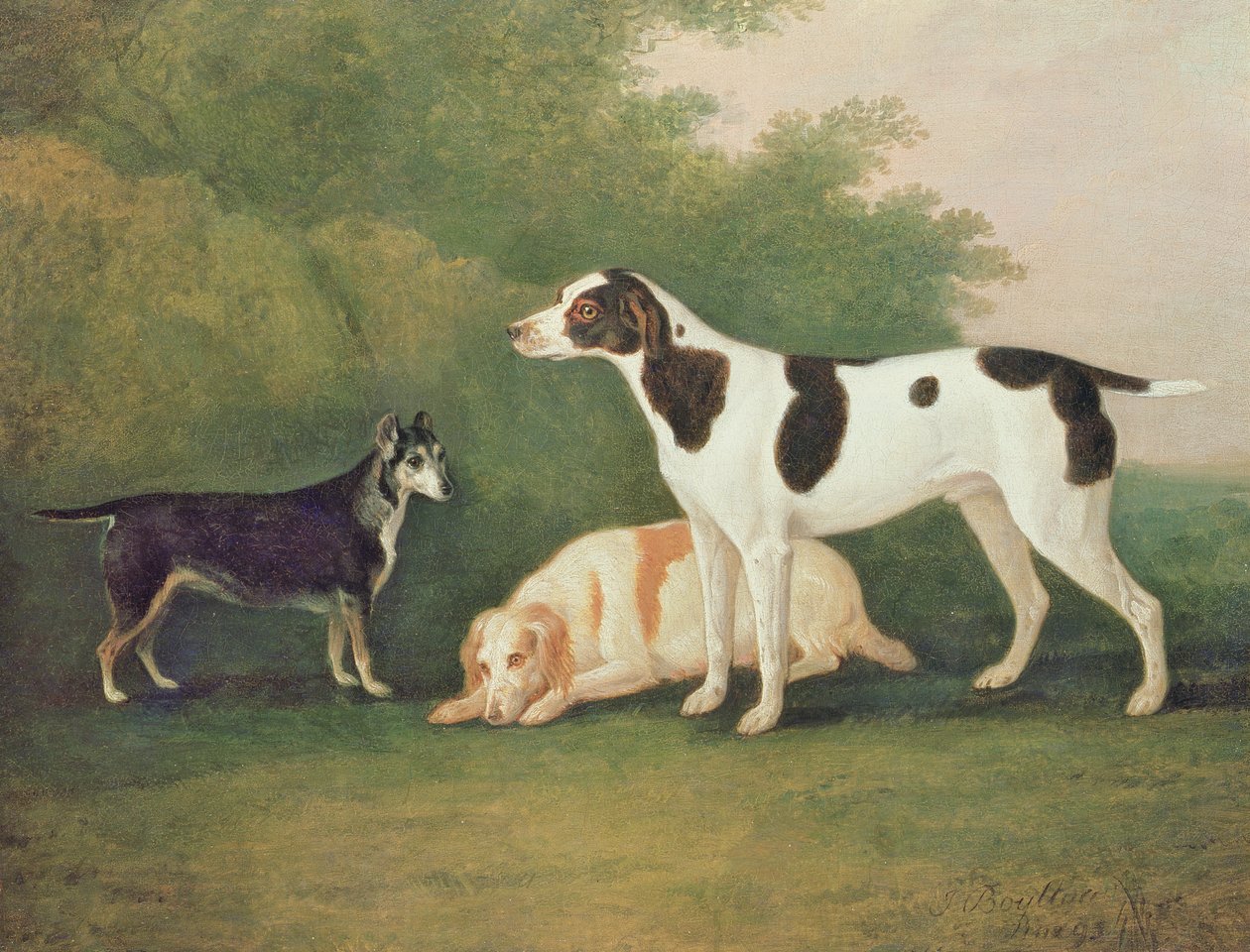 Bir Manzarada Üç Köpek by John Boultbee