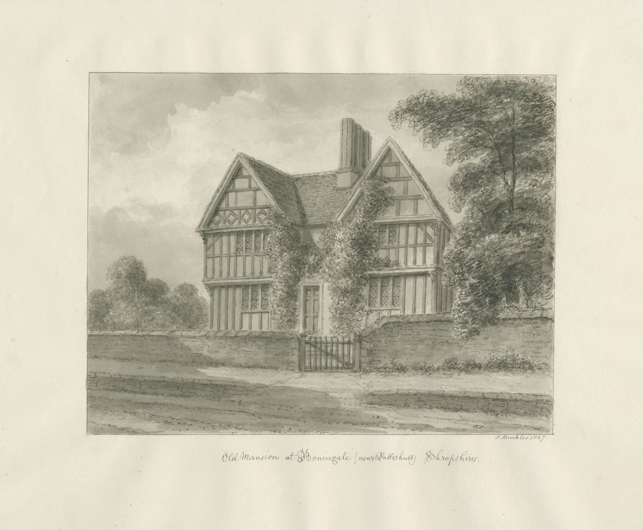 Patshull - Boningale