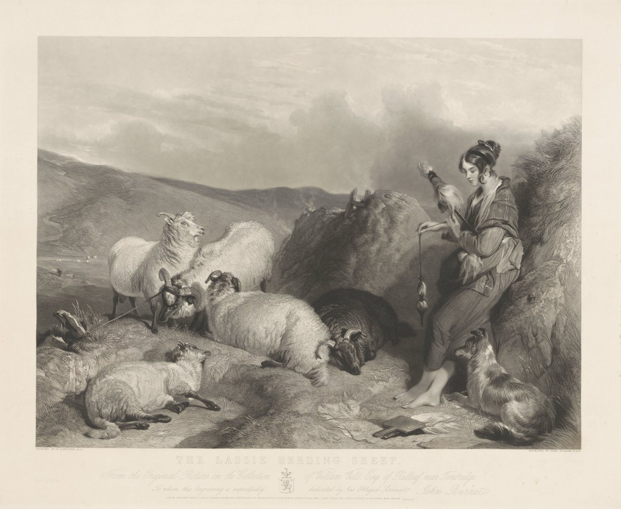 Lassie Sürü Koyunları. by John Burnet