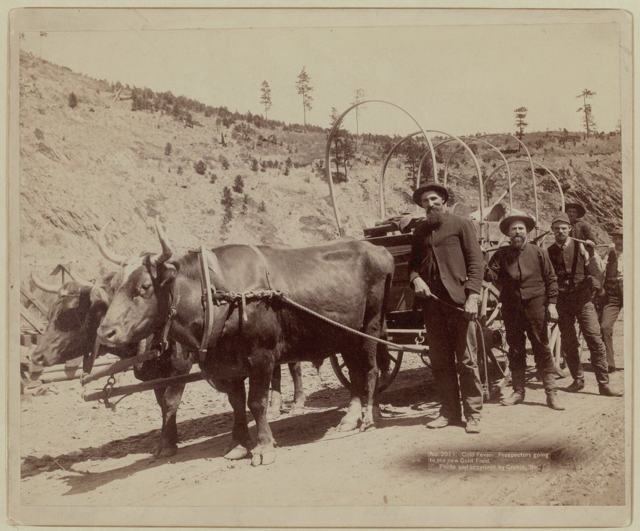  by John C. H. Grabill