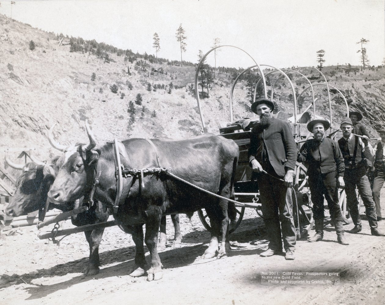 Güney Dakota