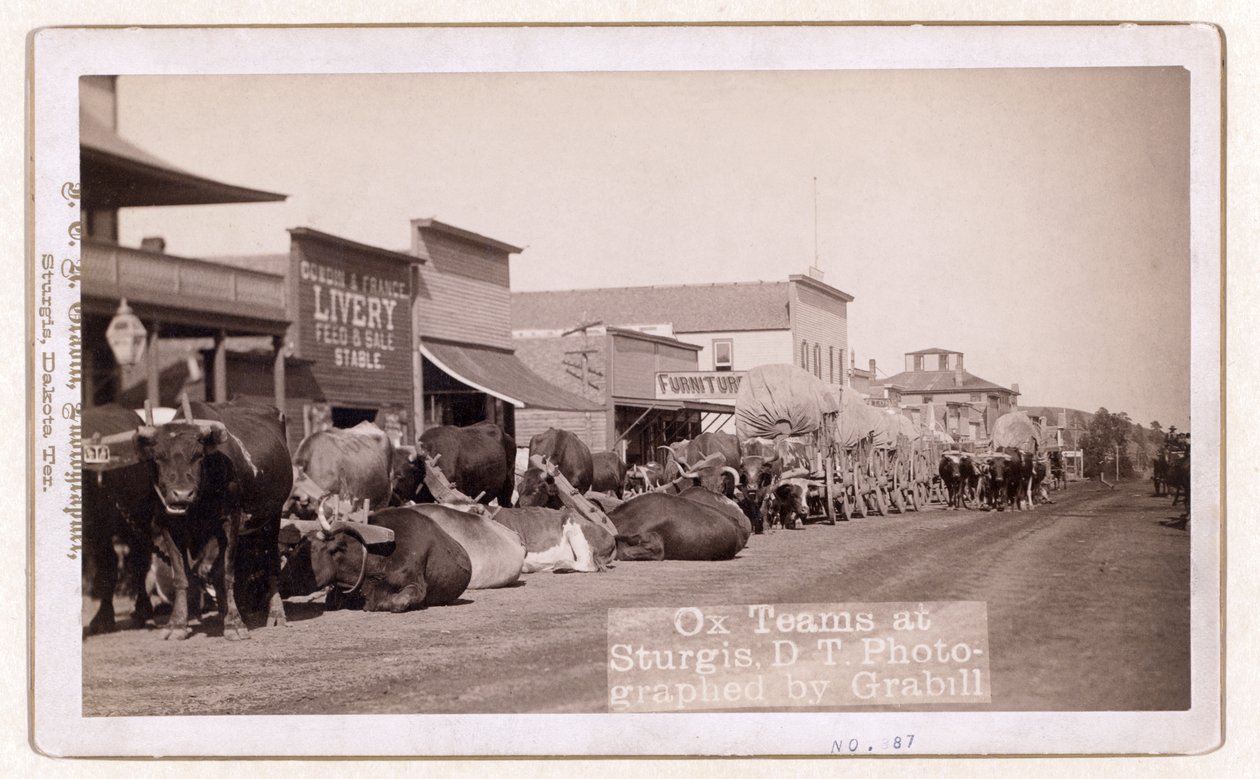 Sturgis, D.T., pub.1887 - 1892