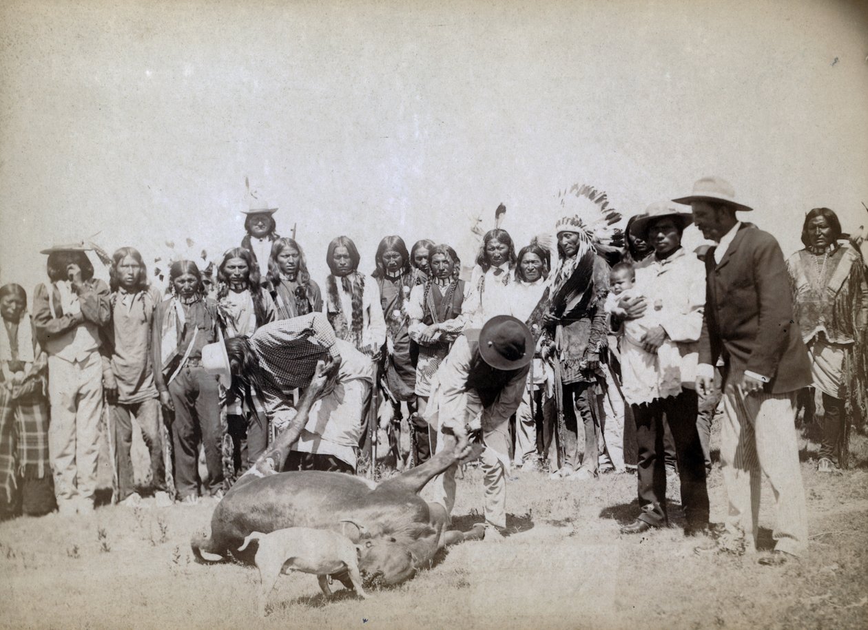 Sığır derisinin yüzülmesi, 1891 by John C. H. Grabill