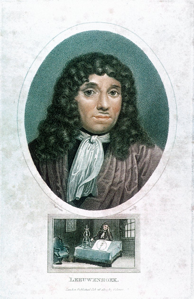 Anton van Leeuwenhoek 1632-1723, Hollandalı mikroskop uzmanı, c1810 by John Chapman