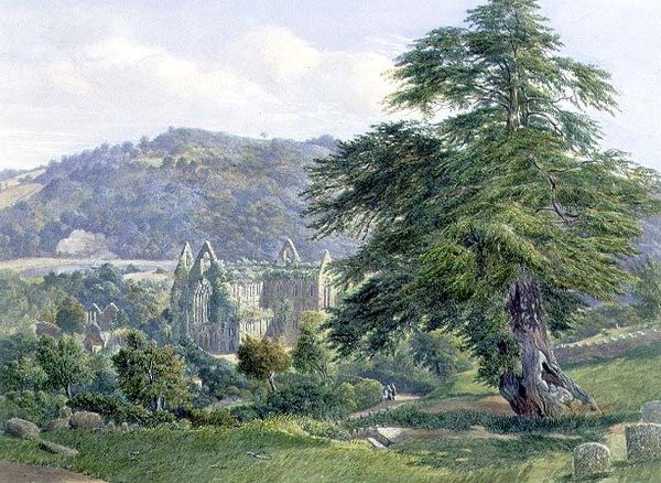 Wye Beyond ile Tintern Manastırı (suluboya) by John Chase