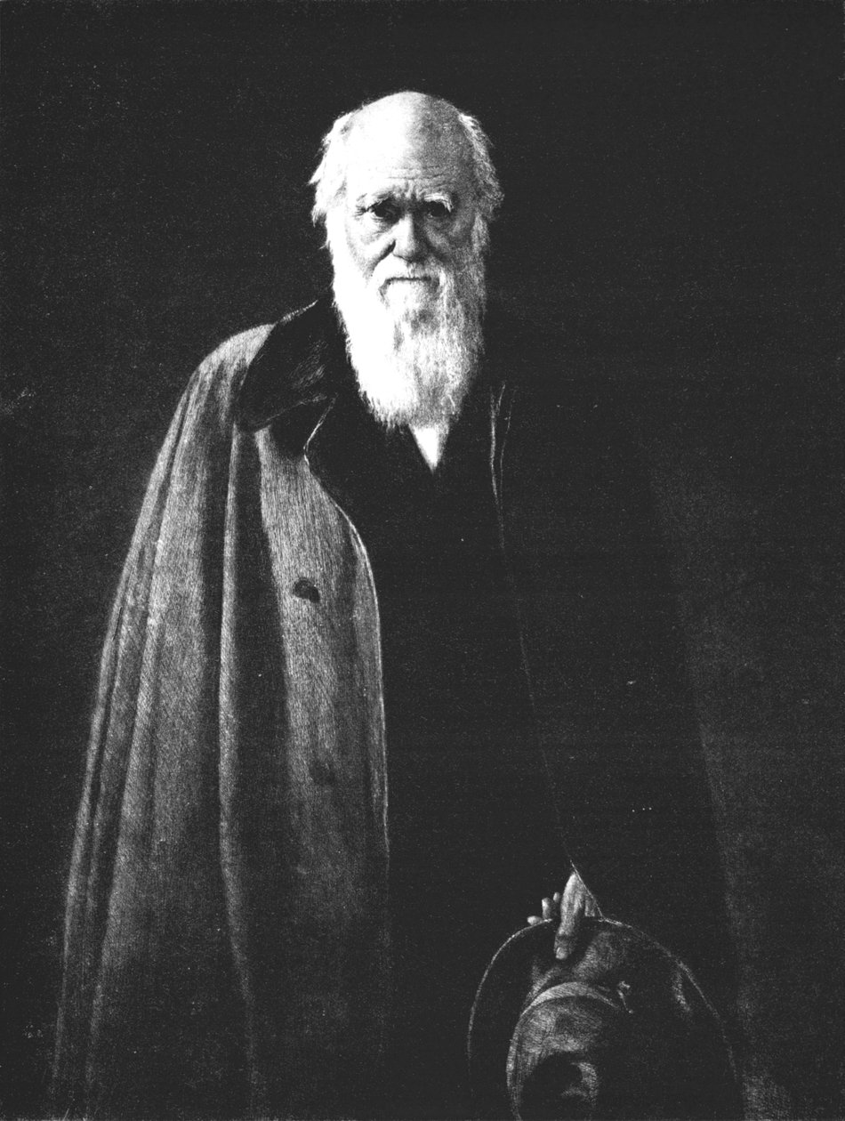 Charles Darwin 1809-1882, 1883, 1912 by John Collier