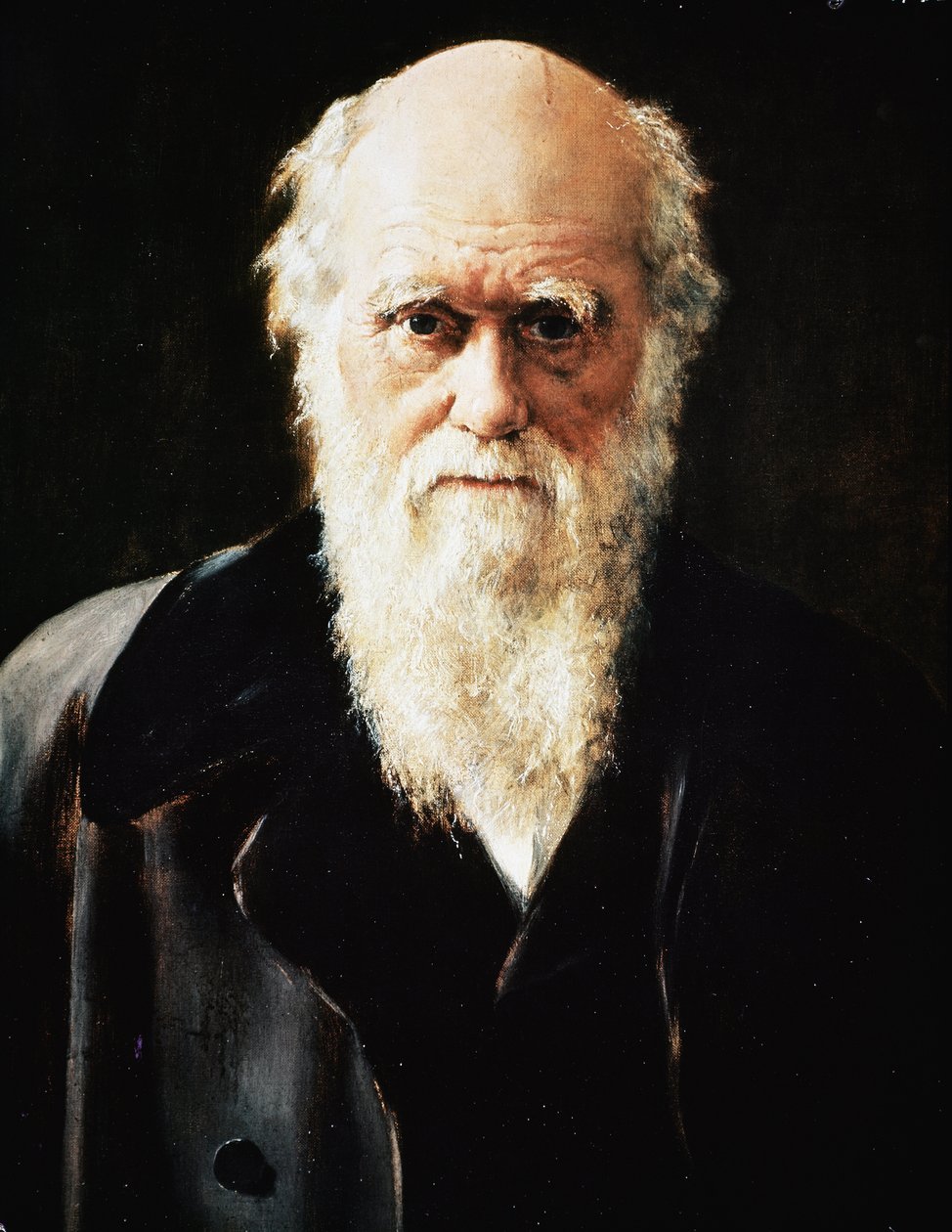 İngiliz doğa bilimci Charles Darwin