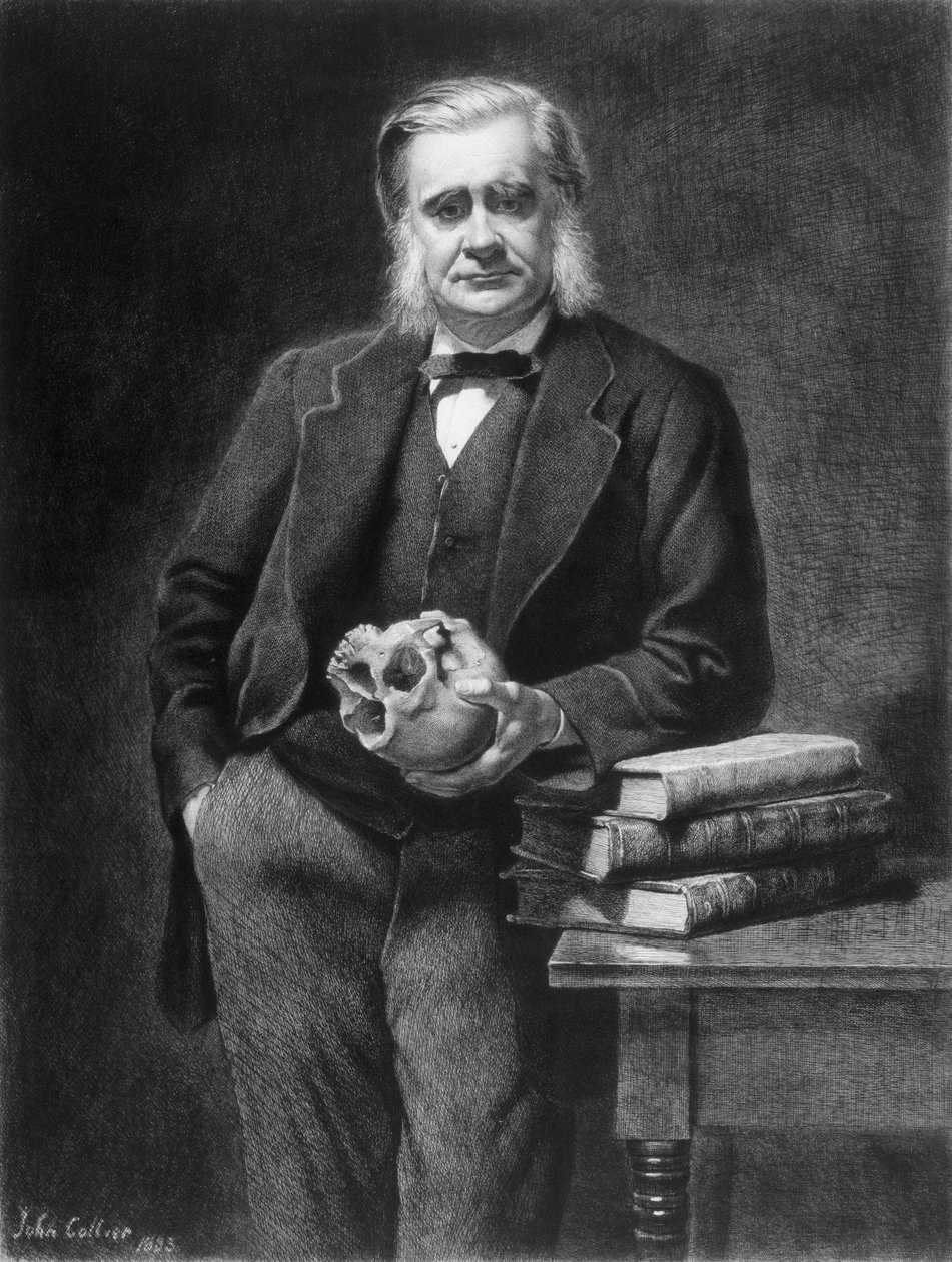 Leopold Flameng (1831-1911) 1885 tarafından kazınmış Thomas Henry Huxley (1825-95) by John Collier