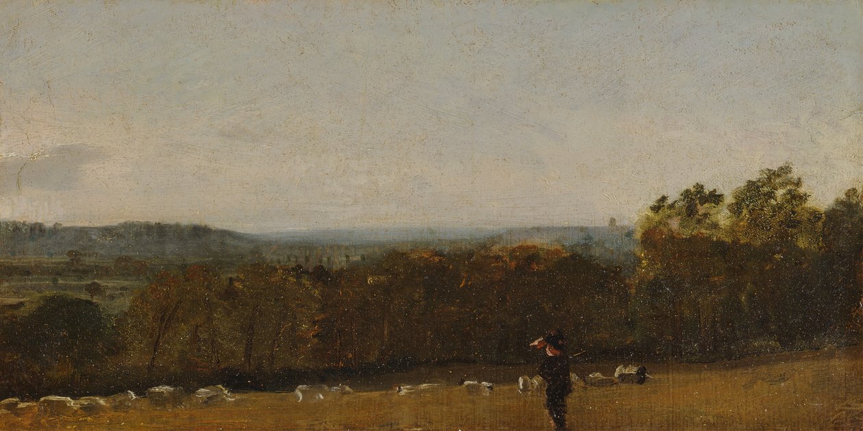 Manzarada Bir Çoban, Dedham Vale