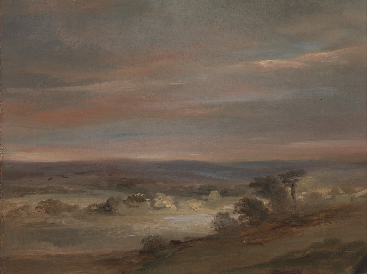 Hampstead Heath