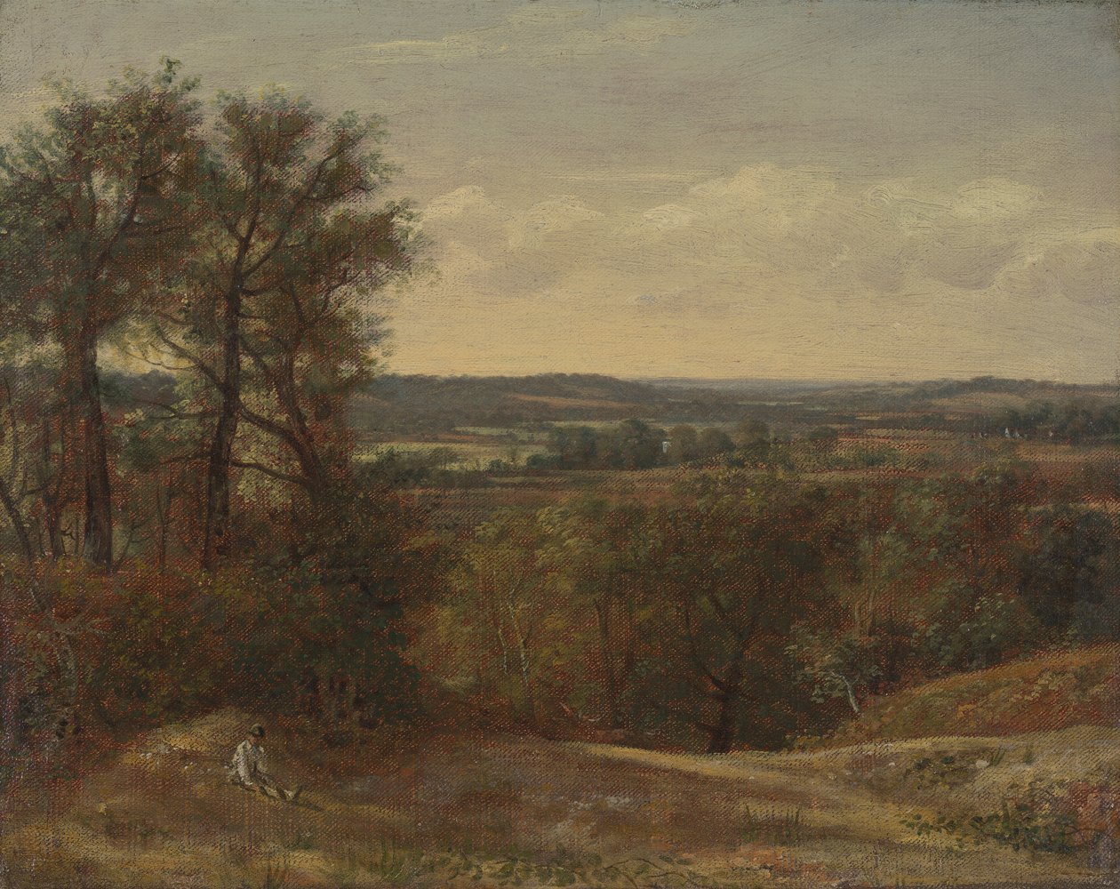 Dedham Vadisi by John Constable
