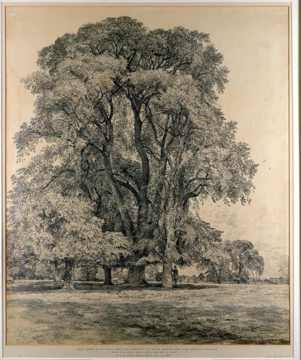 Old Hall Park