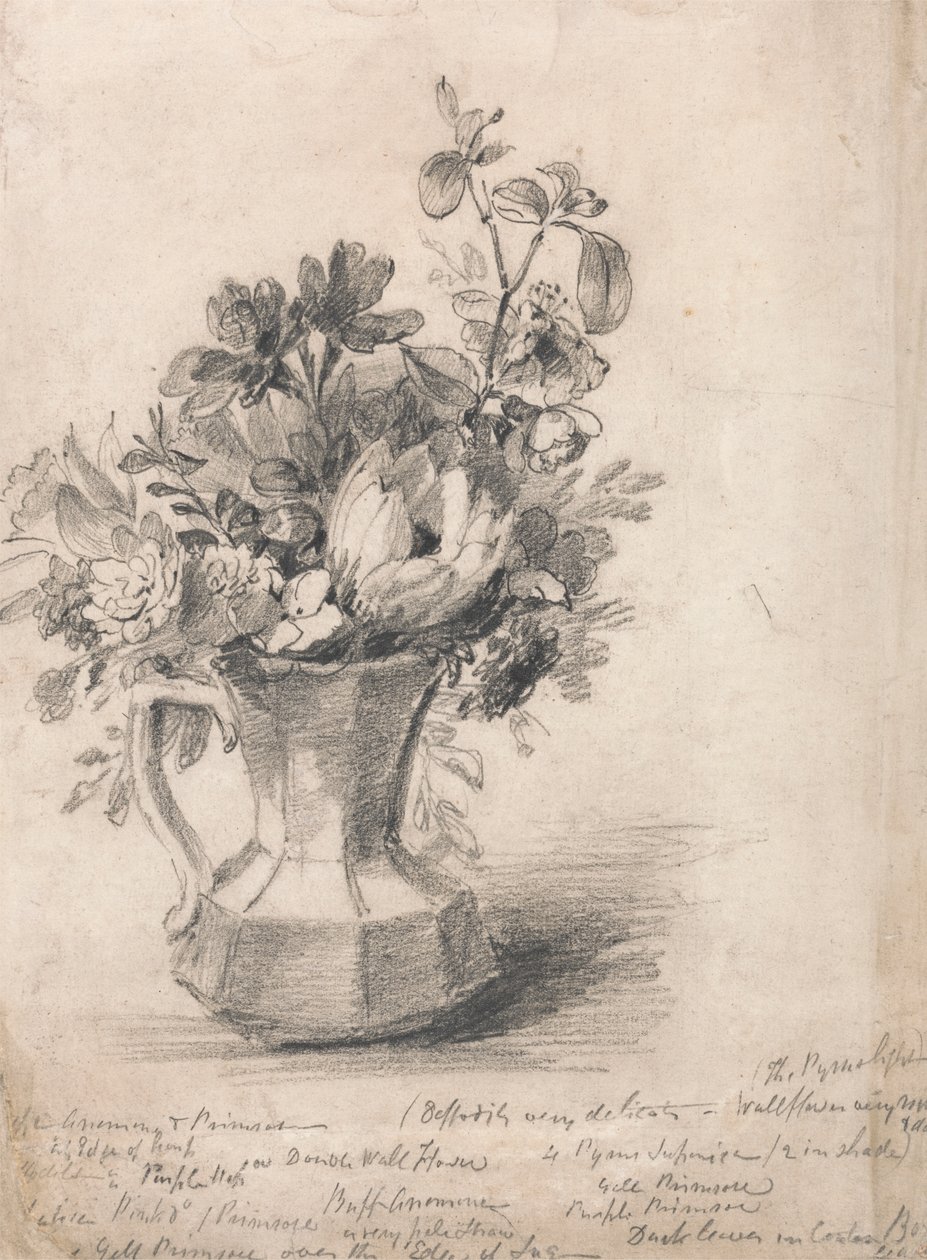 Sürahideki Çiçekler by John Constable