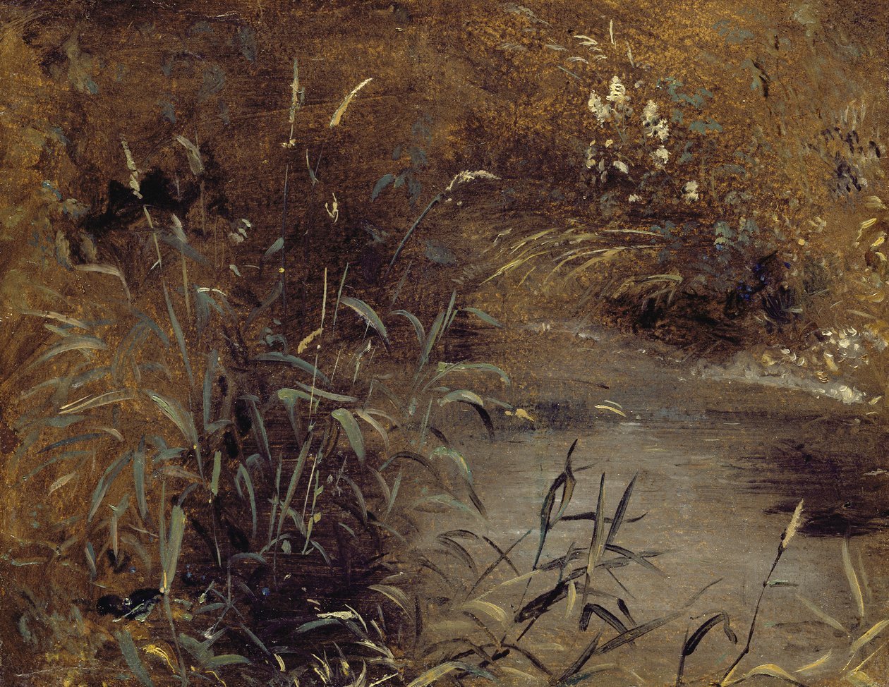 Havuz Kenarında Koşuşturma, c.1821 (gemide kağıt üzerinde yağlı boya) by John Constable