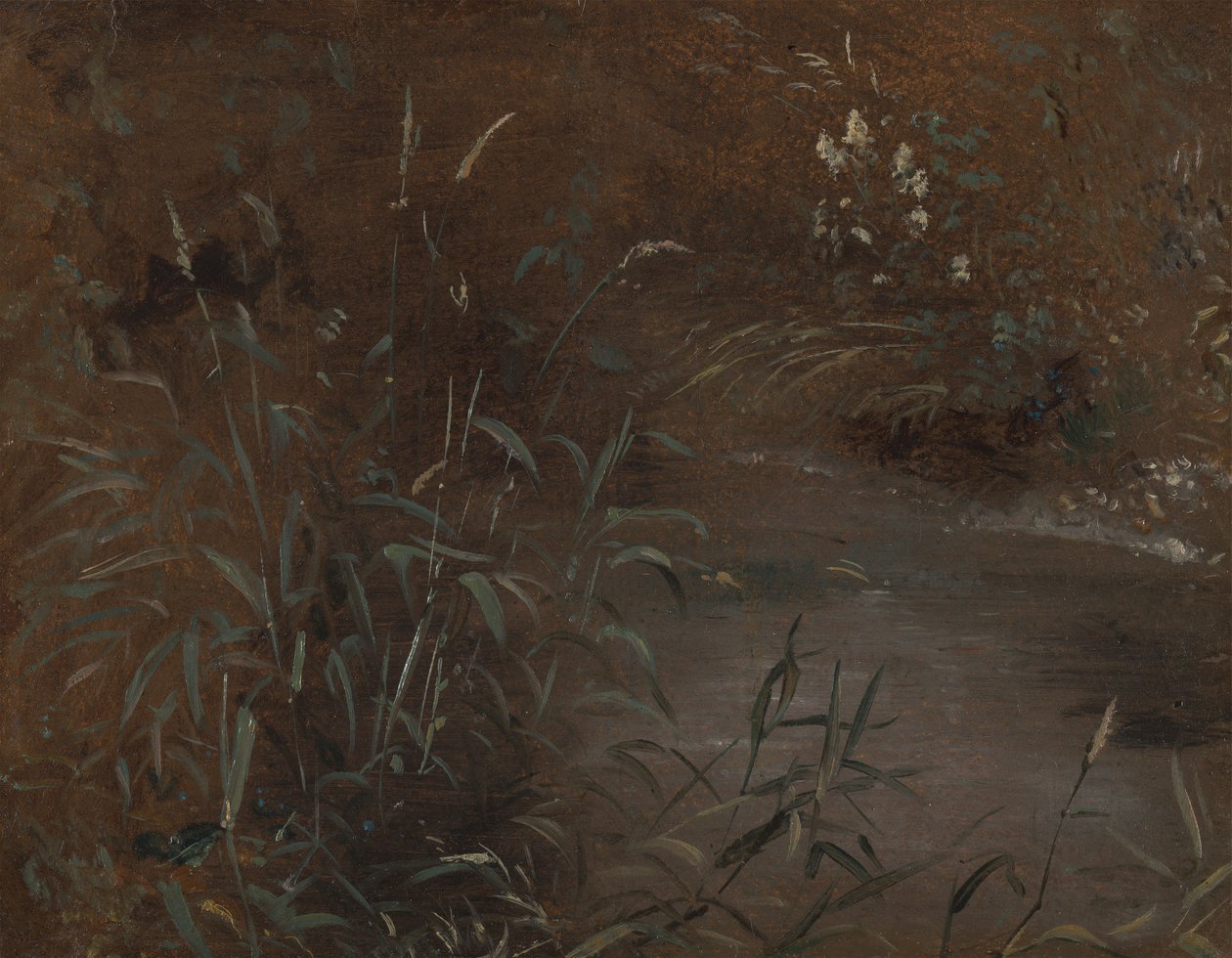 Bir havuz acele by John Constable