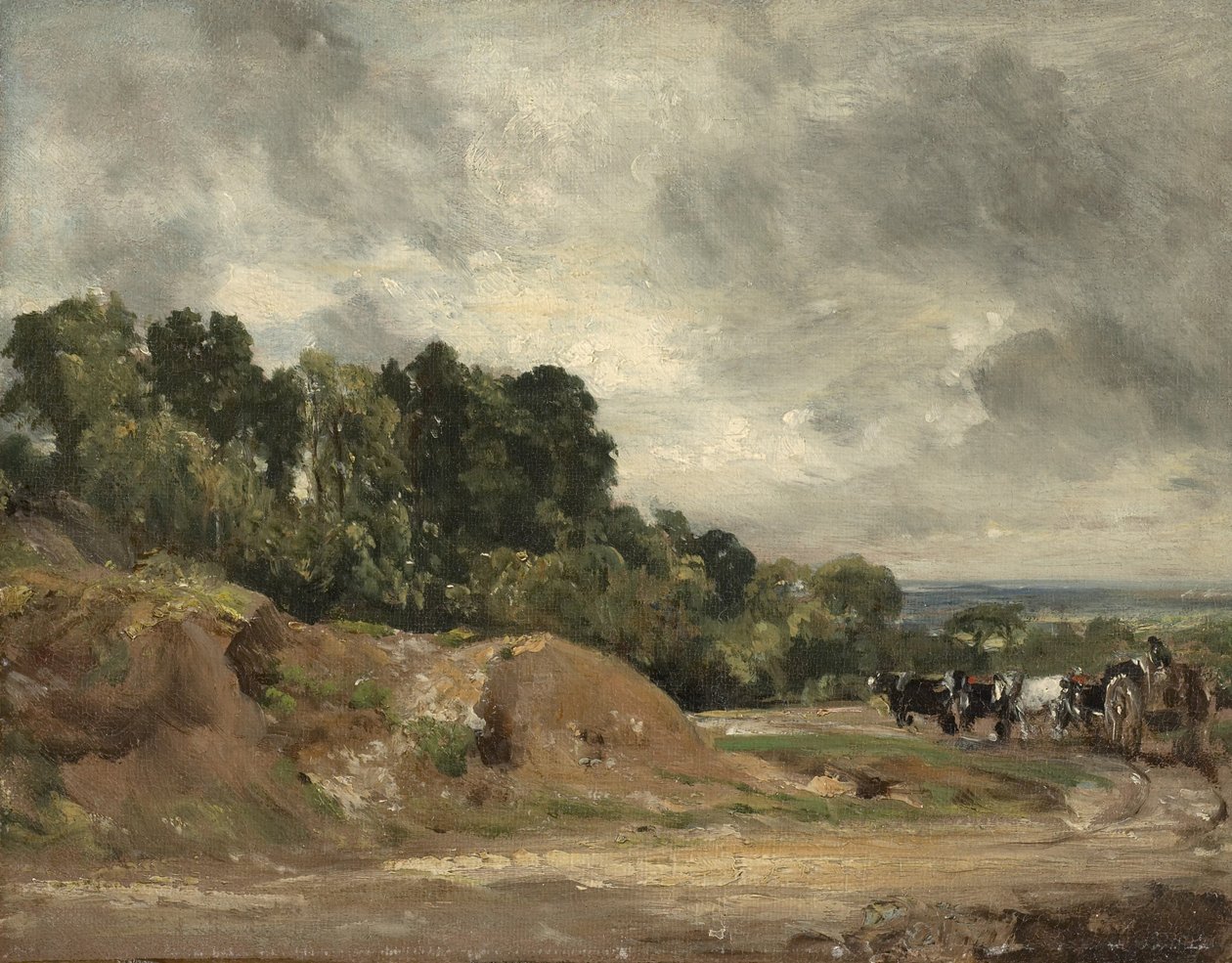 Hampstead Heath