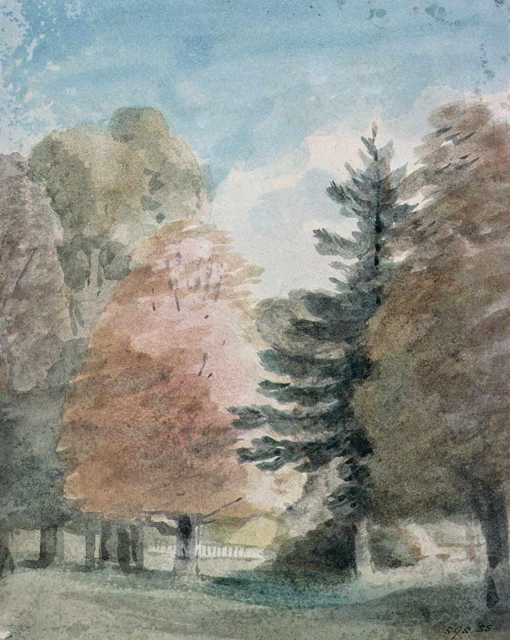 Parktaki Ağaçların İncelenmesi (suluboya) by John Constable