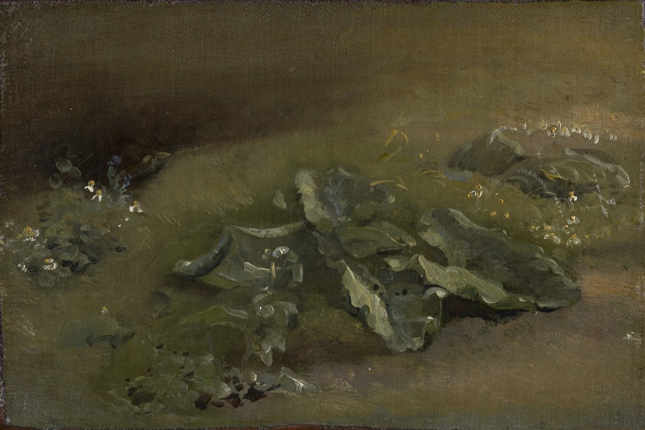 Bir Dulavratotu Çalışması, c.1810-14 veya c.1828 by John Constable