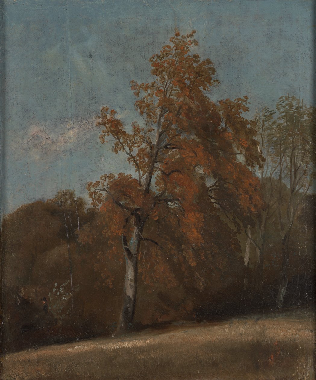 Dişbudak Ağacı Çalışması by John Constable