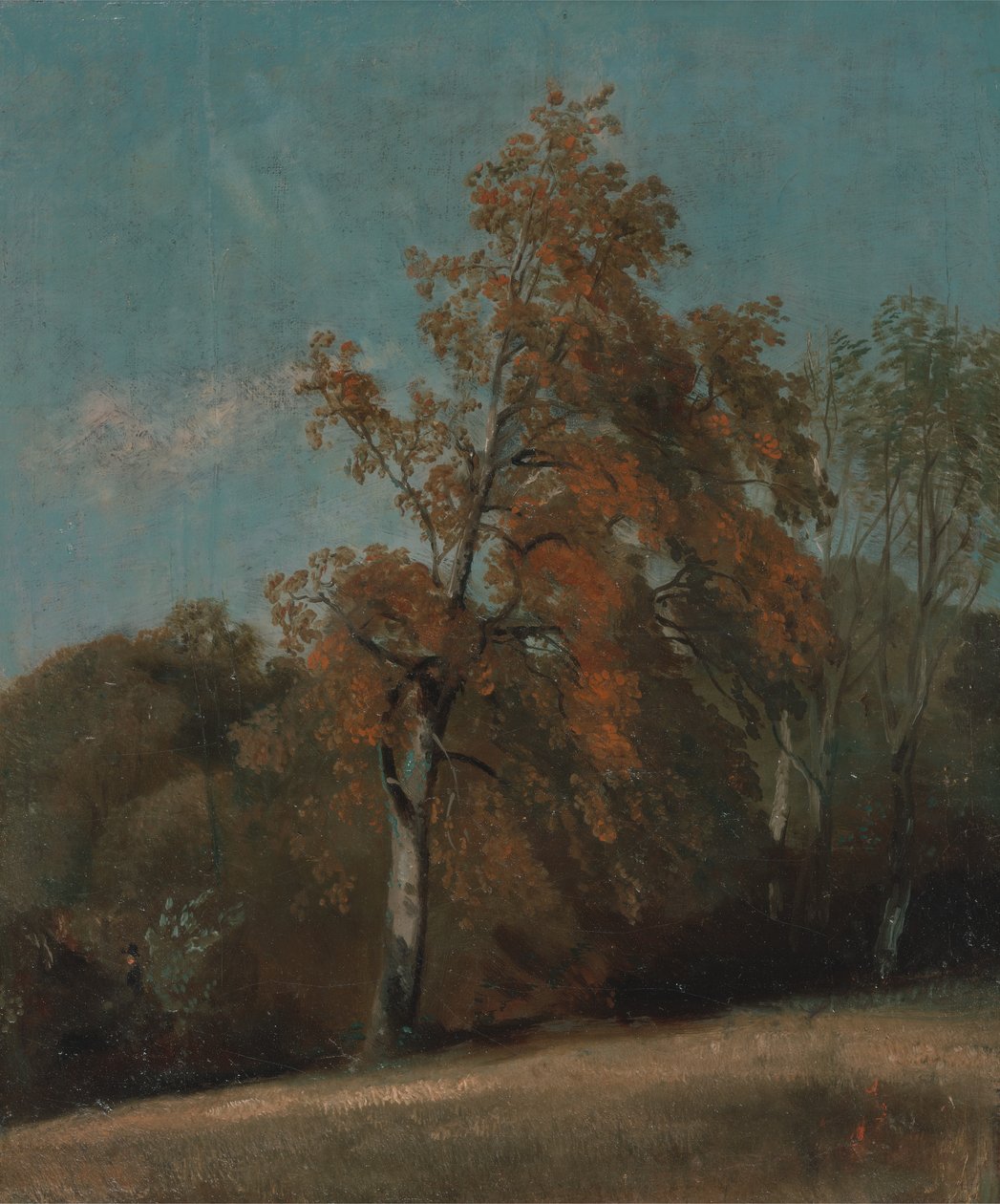 Dişbudak Ağacının İncelenmesi, 1801 ile 1803 veya 1810 ile 1830 arasında. by John Constable