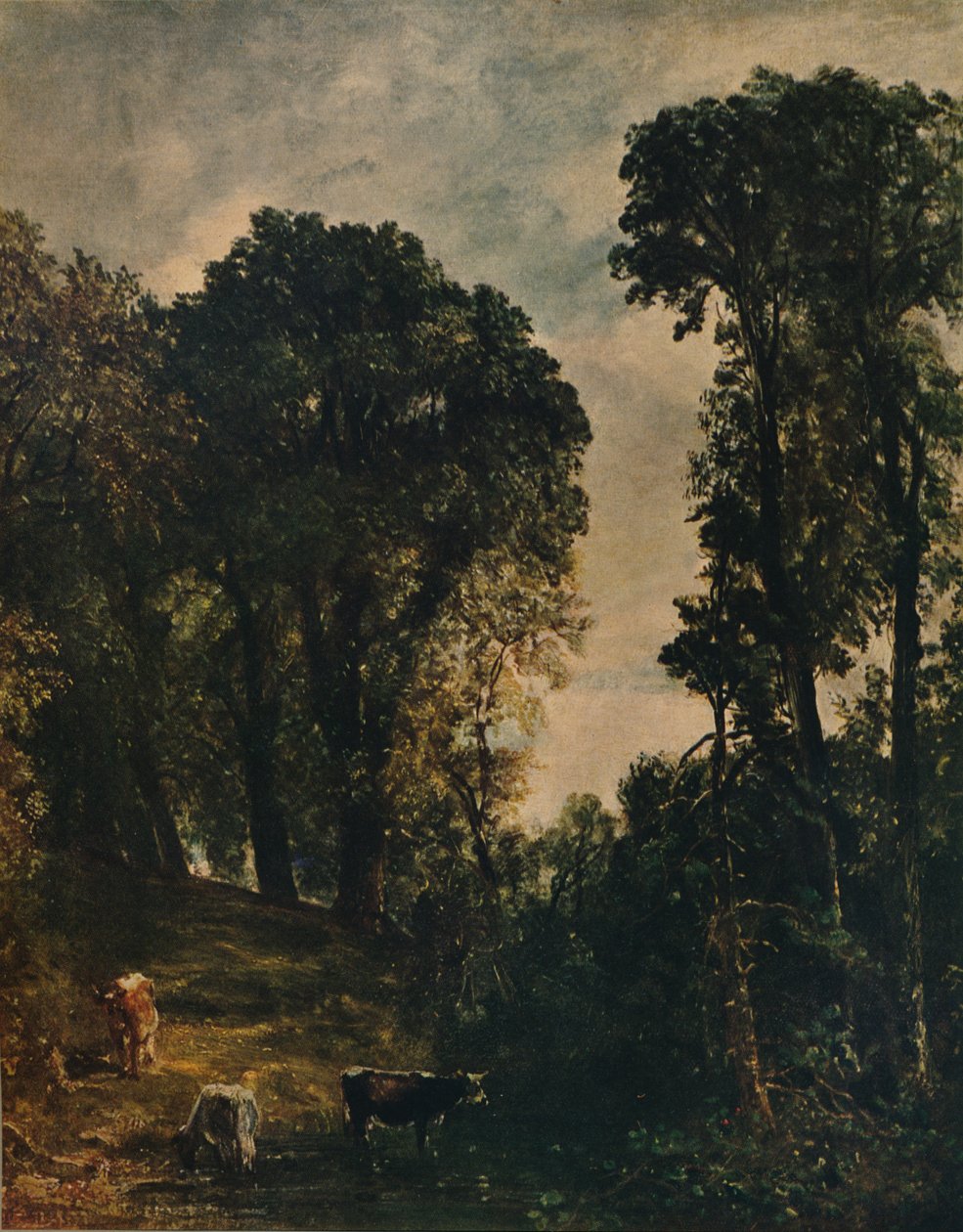 Hampstead Kilisesi Yakınındaki Ağaçlar, 1829, c1915 by John Constable