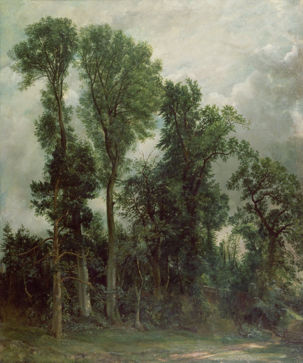 Hampstead'deki ağaçlar by John Constable