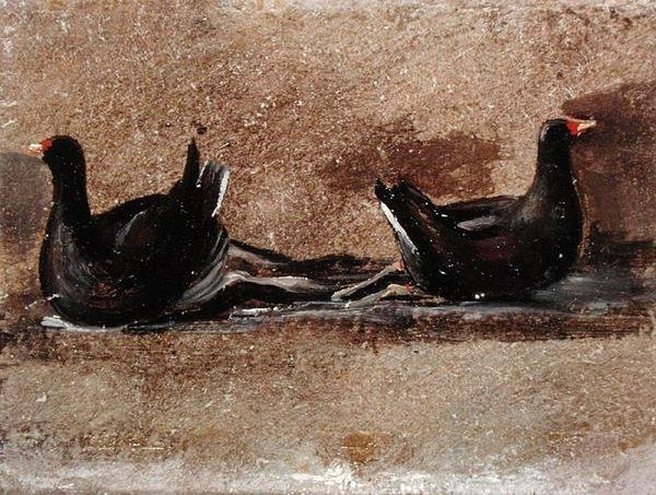Suda İki Moorhen (gemide yağ) by John Constable